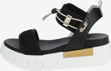 Nero Giardini Sandalen met riem in Zwart