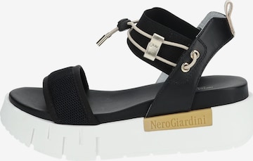 Nero Giardini Sandalen met riem in Zwart
