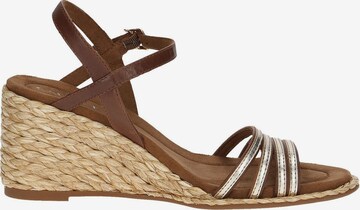 CAPRICE Sandalen met riem in Bruin