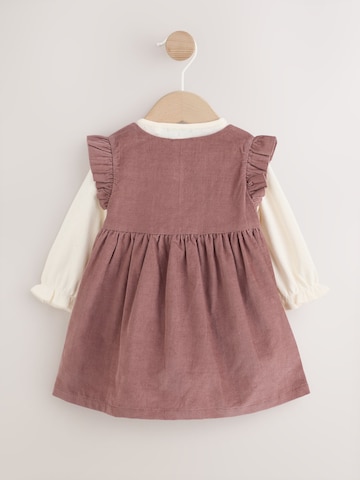Next Set: Kleid, Body und Strumpfhose in Beige