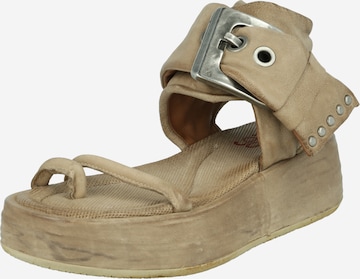 A.S.98 T-bar sandals 'Festa' in Brown: front