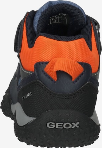 GEOX Boots in Blue