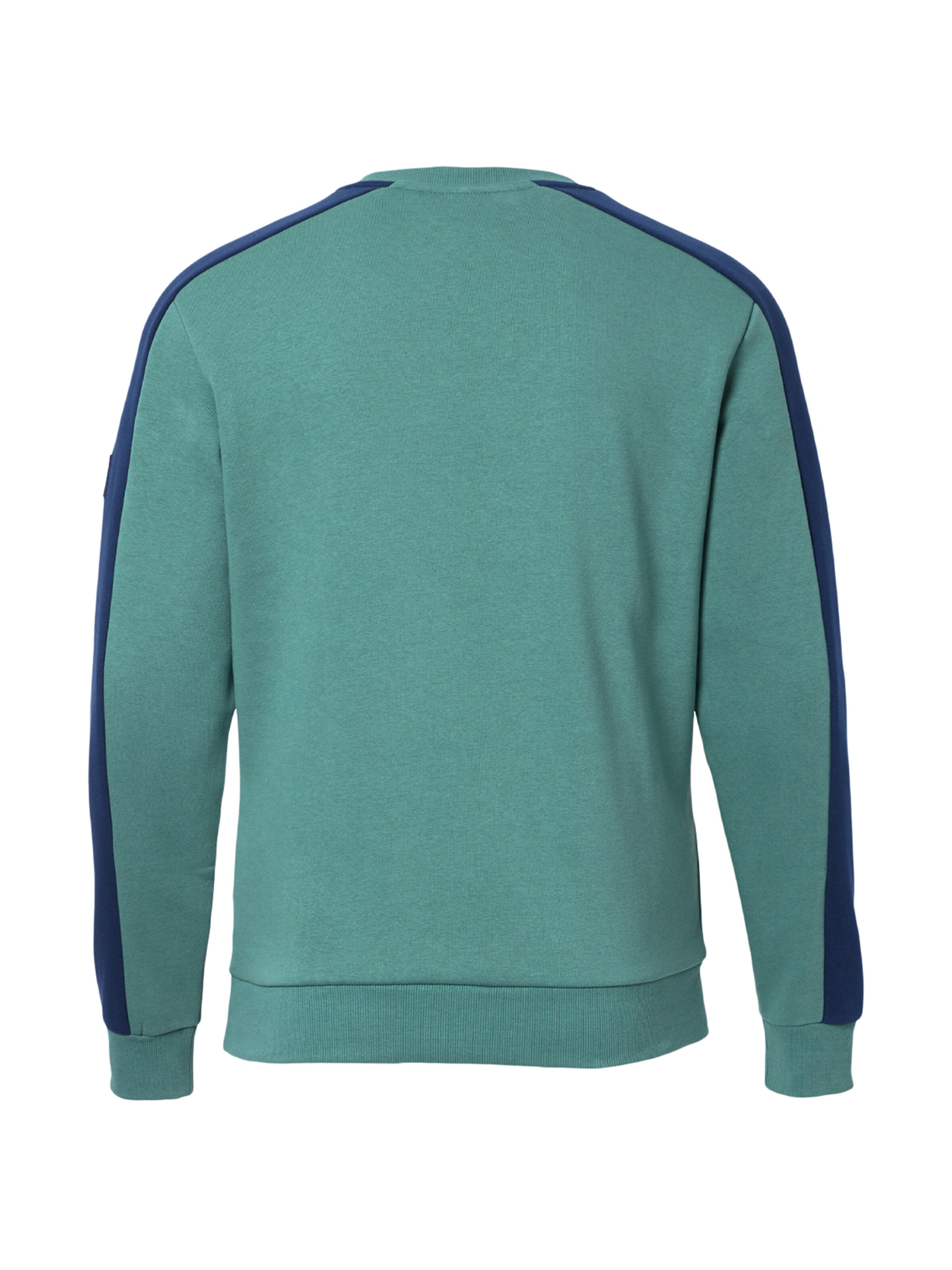 FORSBERG Sweatshirt 'mit Vintage Logo Sweatshirt' in Green