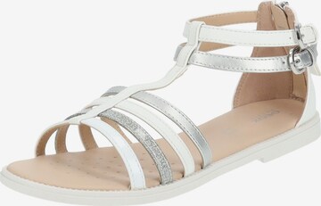 GEOX Sandals in White: front