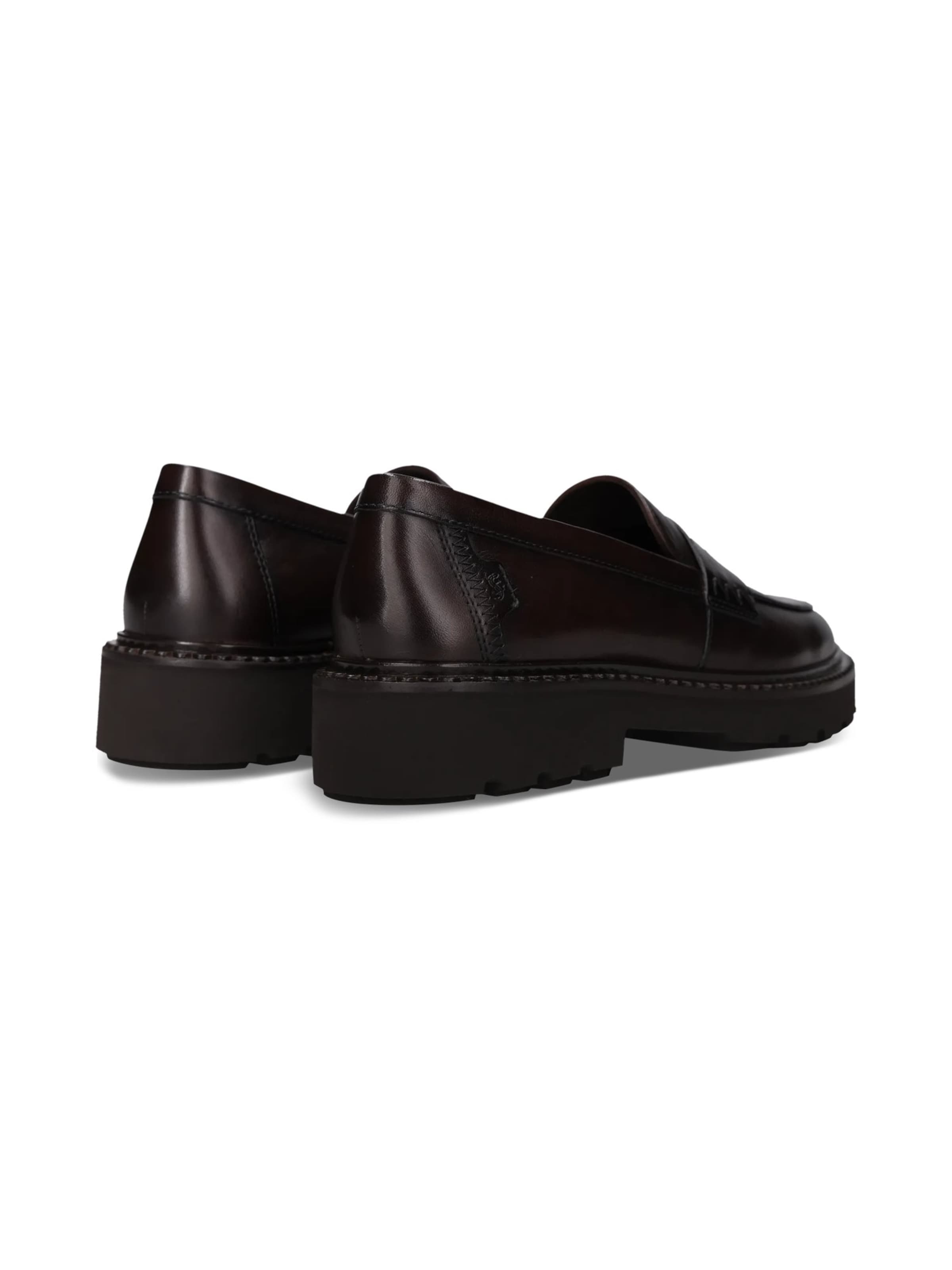 Chaussure basse SALAMANDER en marron