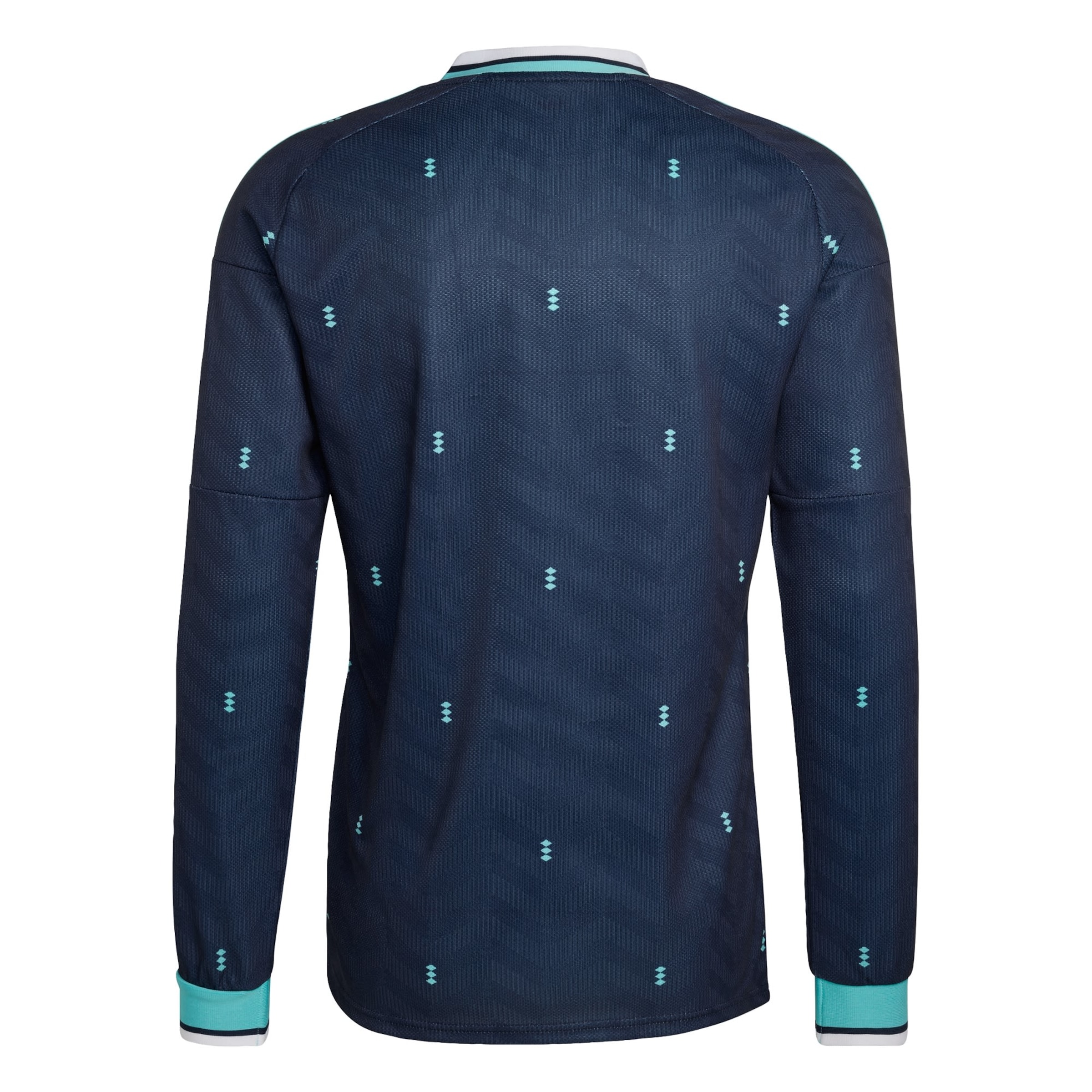 Maglia funzionale 'Deutschland 26' di ADIDAS PERFORMANCE in blu