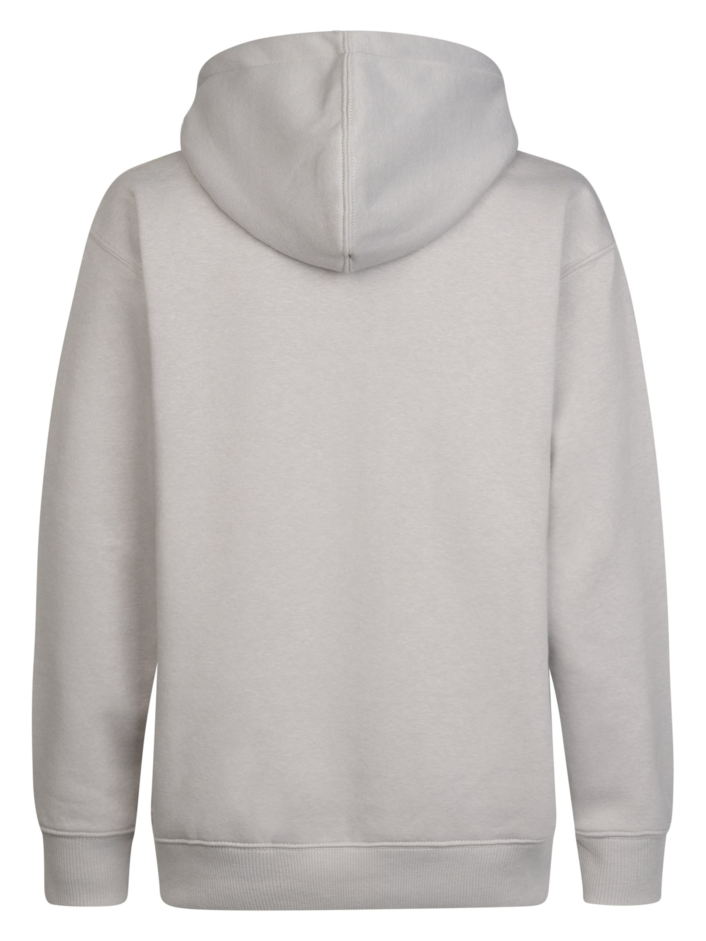 Petrol Industries Sweatshirt in Grey