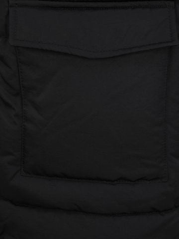 OBJECT Petite Зимняя куртка 'ZHANNA' в Черный