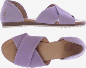 Apple of Eden Sandals & High-Heeled Sandals in 37 in Purple: front