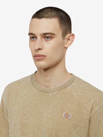 DICKIES Μπλουζάκι 'NEWINGTON' σε καφέ