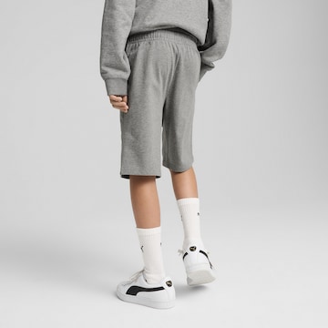 PUMA Regular Shorts 'ESS No. 1' in Grau