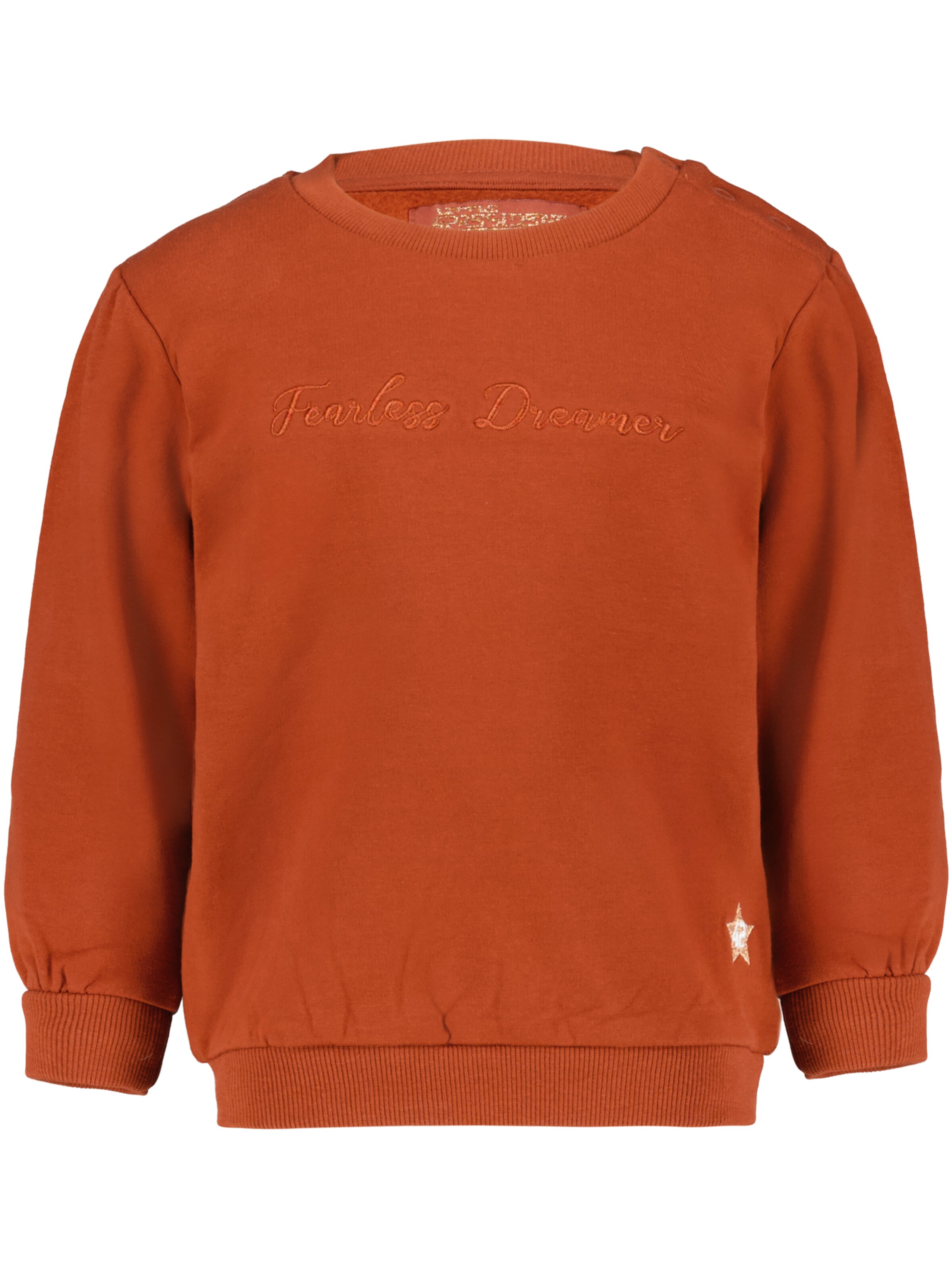 4PRESIDENT Sweater 'Kate' in Brown: front