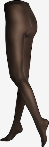 Hudson Feinstrumpfhose in Braun: Vorderseite