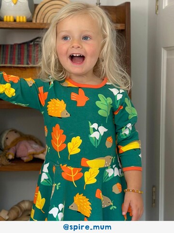 Toby Tiger Kleid in Grün