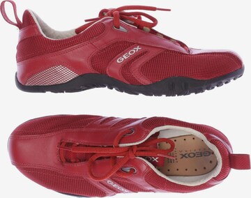 GEOX Sneakers & Trainers in 38 in Red: front