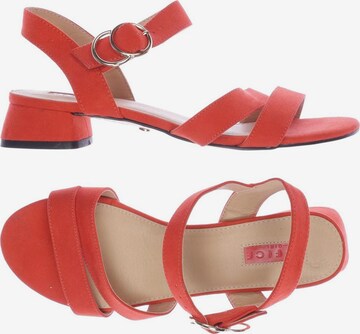 Office London Sandals & High-Heeled Sandals in 38 in Red: front