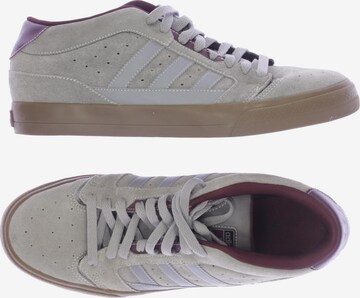 ADIDAS ORIGINALS Sneaker 43,5 in Grau: predná strana