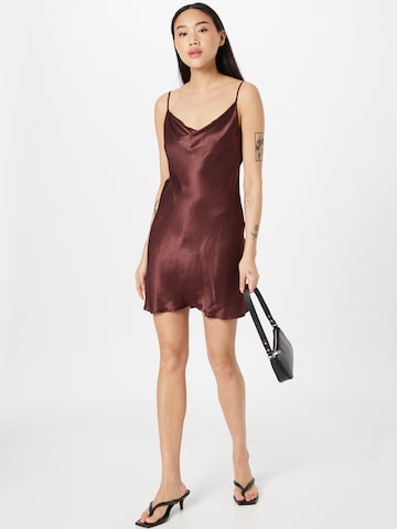 Warehouse Summer Dress in Brown