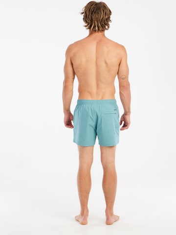 PROTEST Badeshorts 'PRTYESSINE' in Grün