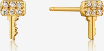 ANIA HAIE Ohrstecker in Gold: Vorderseite