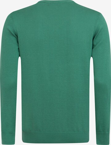 Pull-over 'Alonza' DENIM CULTURE en vert