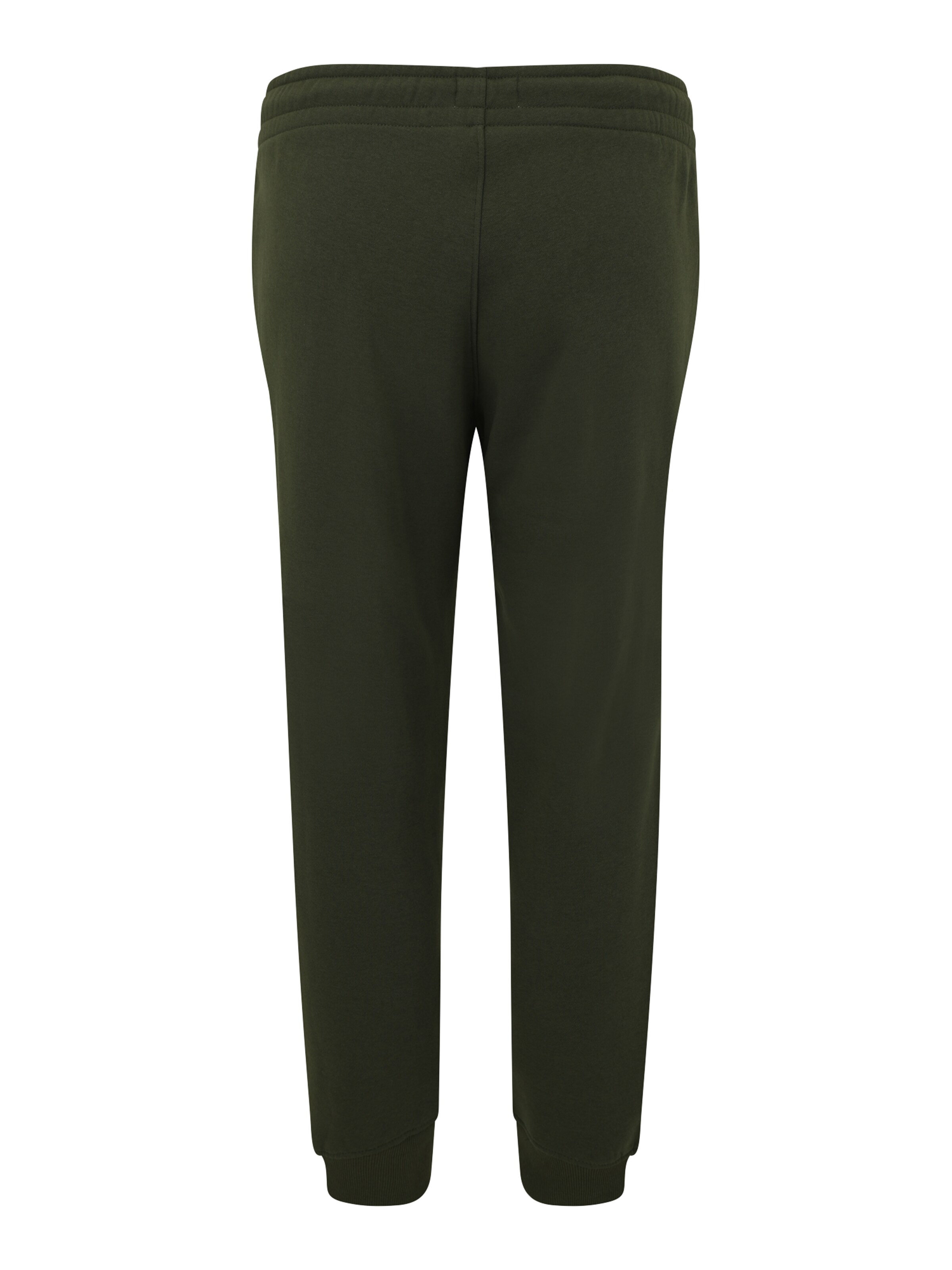 Jack & Jones Plus Tapered Trousers 'JPSTGORDON MAKOTO' in Green
