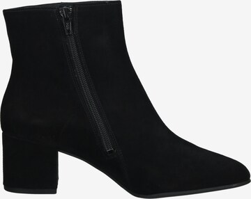 Högl Ankle Boots 'Fred' in Black