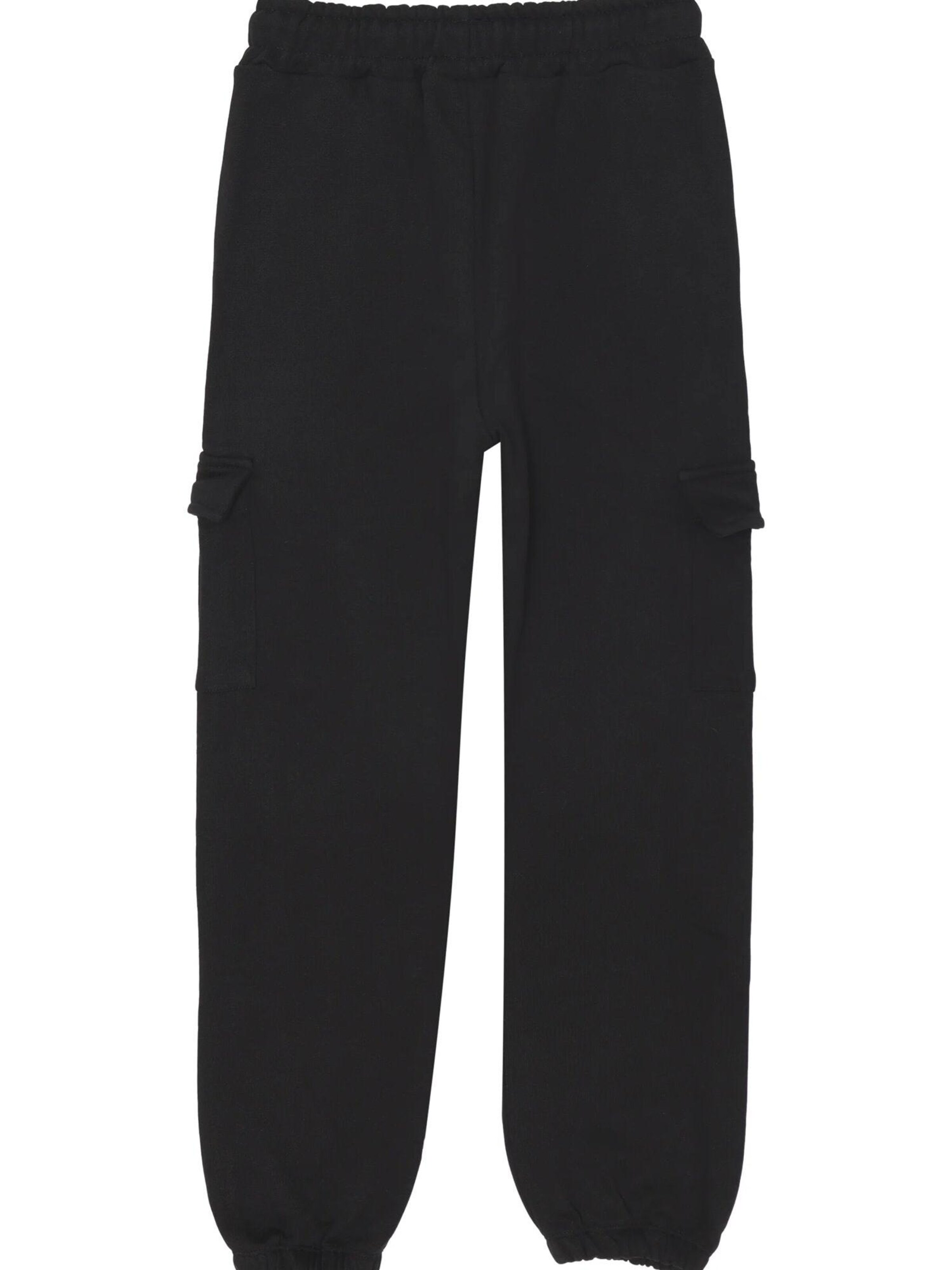 DISCLAIMER Regular Pants 'Disclaimer' in Black