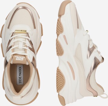 STEVE MADDEN Sneaker 'Progressive' in Beige