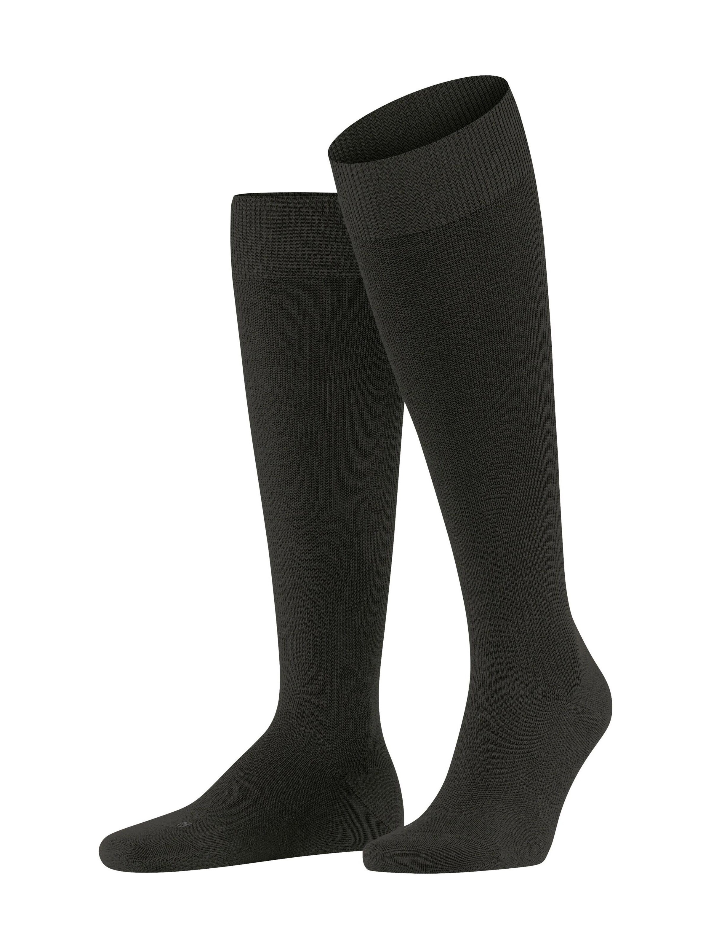 FALKE Kniestrümpfe 'Energizing Wool'‌‌‌‌‌‌‌‌‌ in Braun: Vorderseite