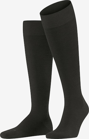 FALKE Kniestrümpfe 'Energizing Wool' in Braun: Vorderseite