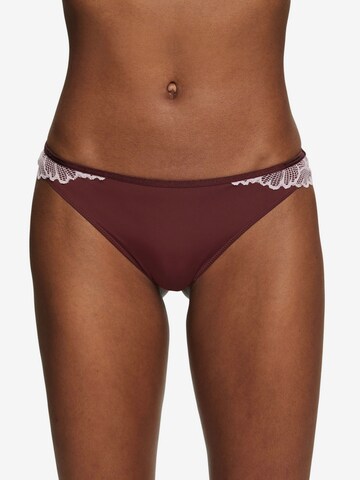 ESPRIT Panty in Brown