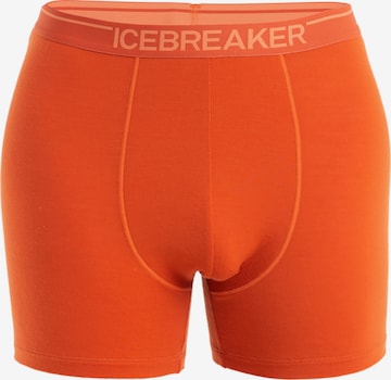 ICEBREAKER Sport alsónadrágok 'Anatomica' - piros: elől