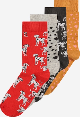 Chaussettes 'DALMATINER' EWERS en mélange de couleurs : devant