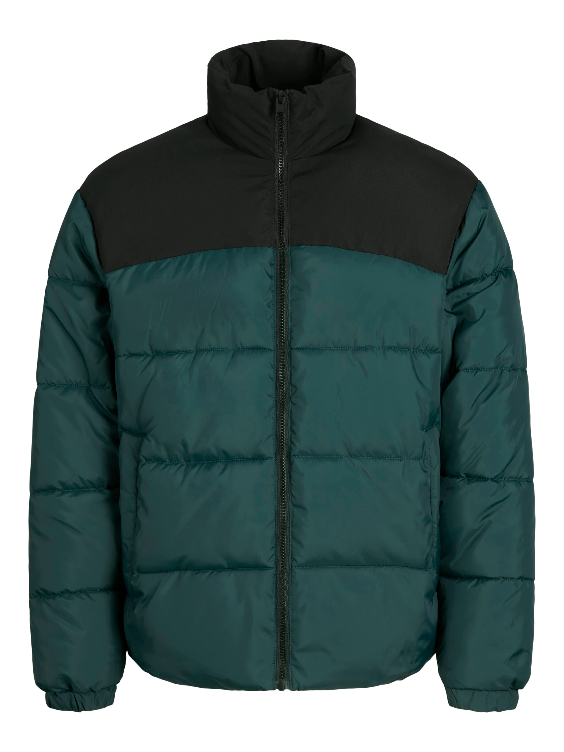 THE NORTH FACE Regular fit Winter jacket M 1996 Retro Nuptse in Dark Green ABOUT YOU