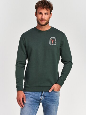 Sweat-shirt Shiwi en vert : devant