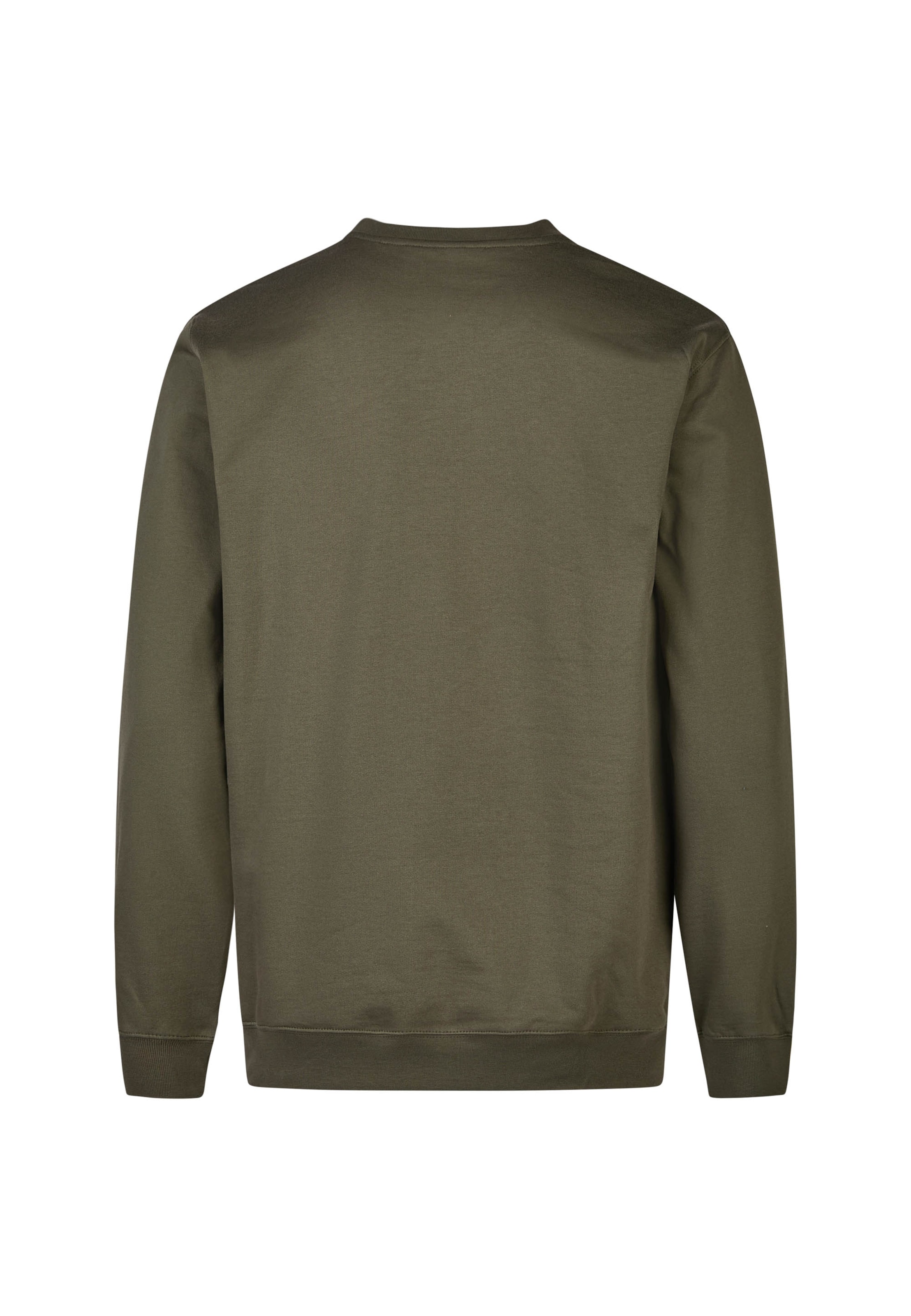 Cleptomanicx Sweatshirt ' Embro Gull' in Green