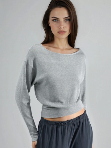 Pull-over Busem en gris : devant