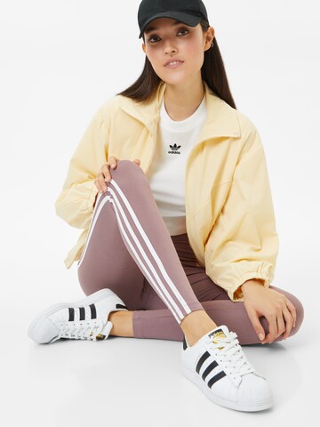 ADIDAS ORIGINALS Скинни Леггинсы 'Adicolor Classics 3-Stripes' в Лиловый