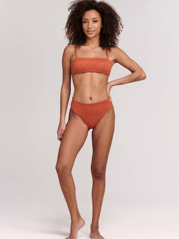 Bikini 'LOLA' Shiwi en marron