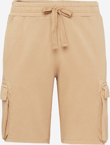 KnowledgeCotton Apparel Regular Shorts 'NUANCE BY NATURE™' (GOTS) in Beige: predná strana