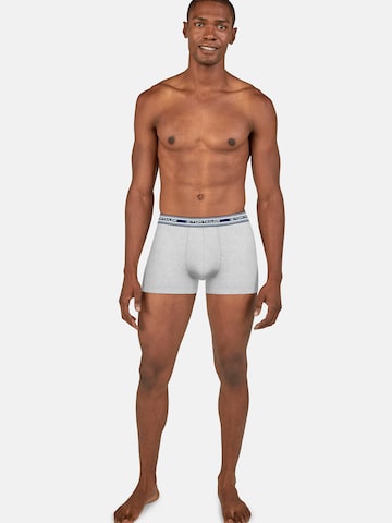 TOM TAILOR Boxer shorts in Blue
