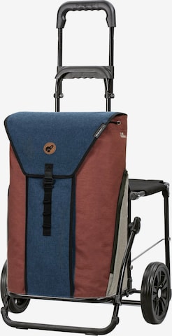 Trolley 'Oli.P 2.0' di Andersen Shopper in blu: frontale
