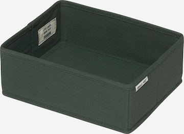 ABOUT YOU Box/Basket 'Jungle' in Green