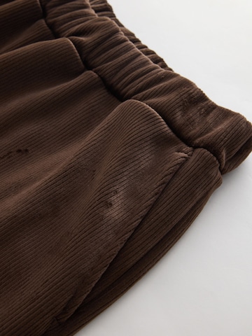 Next Laiad sääred Püksid, värv pruun