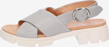 SIOUX Sandals ' Ronila' in Grey