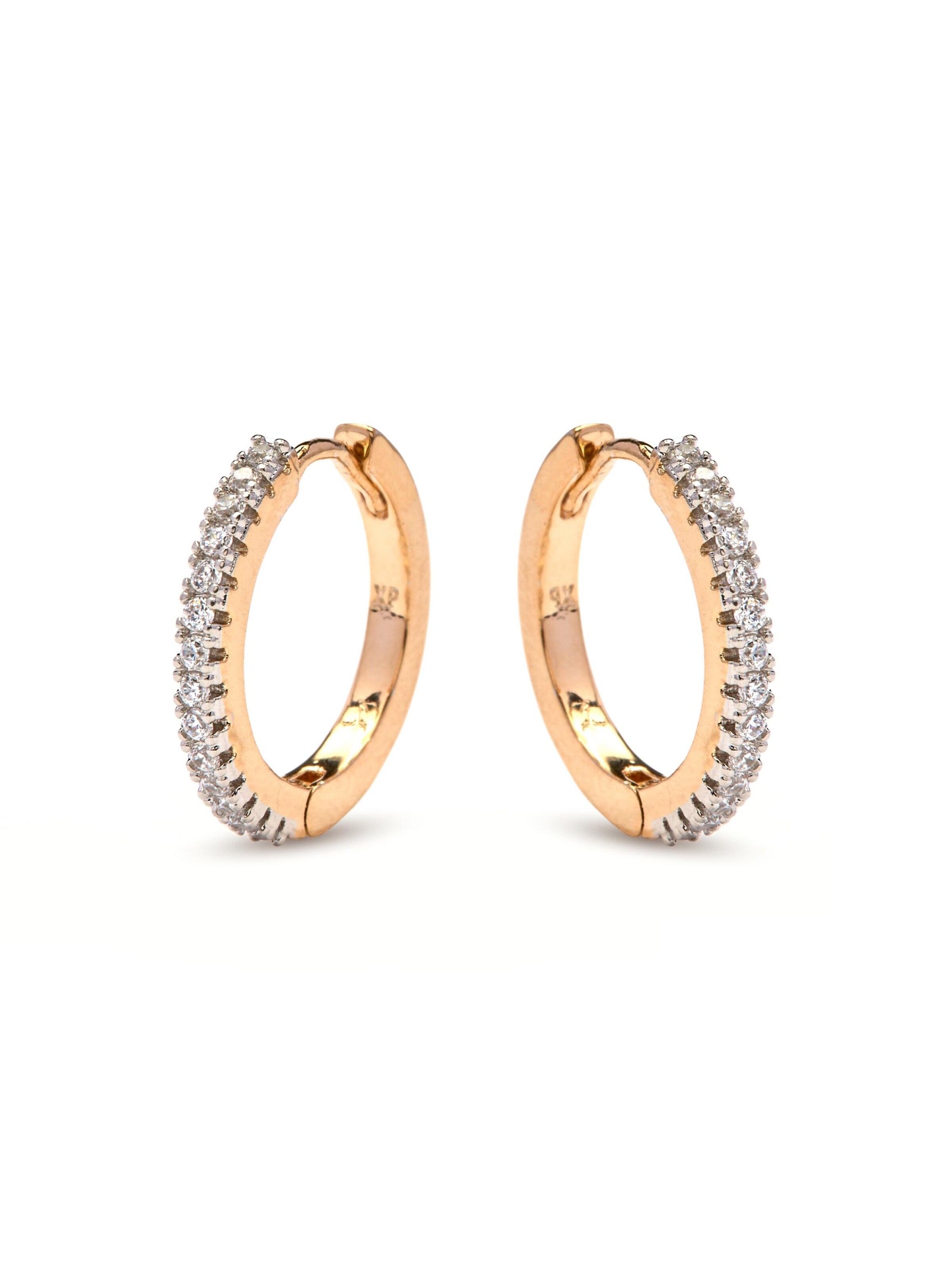 Luxenter Earrings 'Nasgar' in Gold