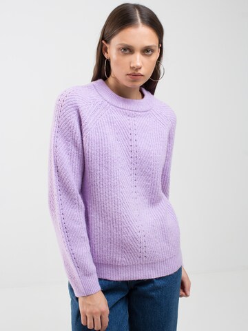 BIG STAR Sweater 'Pikulina' in Purple: front
