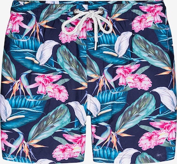 Bondi Joe - Bermudas ' Roscoe Green ' en Mezcla de colores: frente