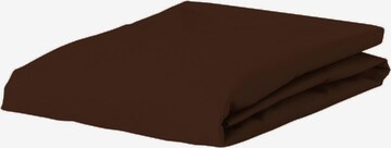 ESSENZA Bed Sheet 'Minte' in Brown: front